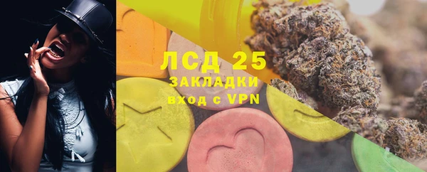 дживик Абинск