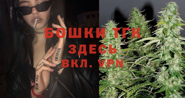 дживик Абинск