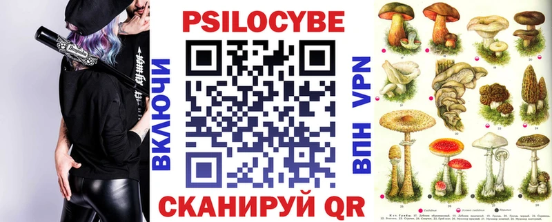 Галлюциногенные грибы Magic Shrooms  как найти   Холм 